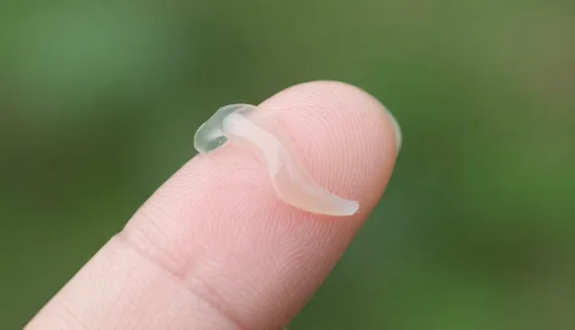 技术风险的应对策略与选型关注点